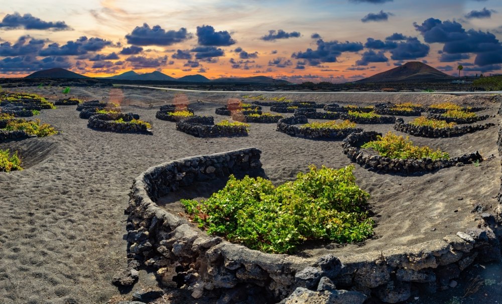 Viñedo de La Geria, Lanzarote